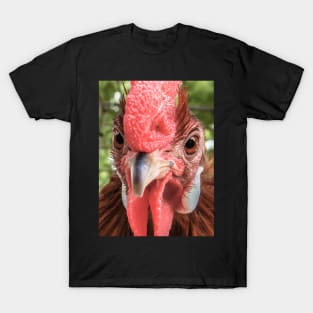 Rooster Photo T-Shirt